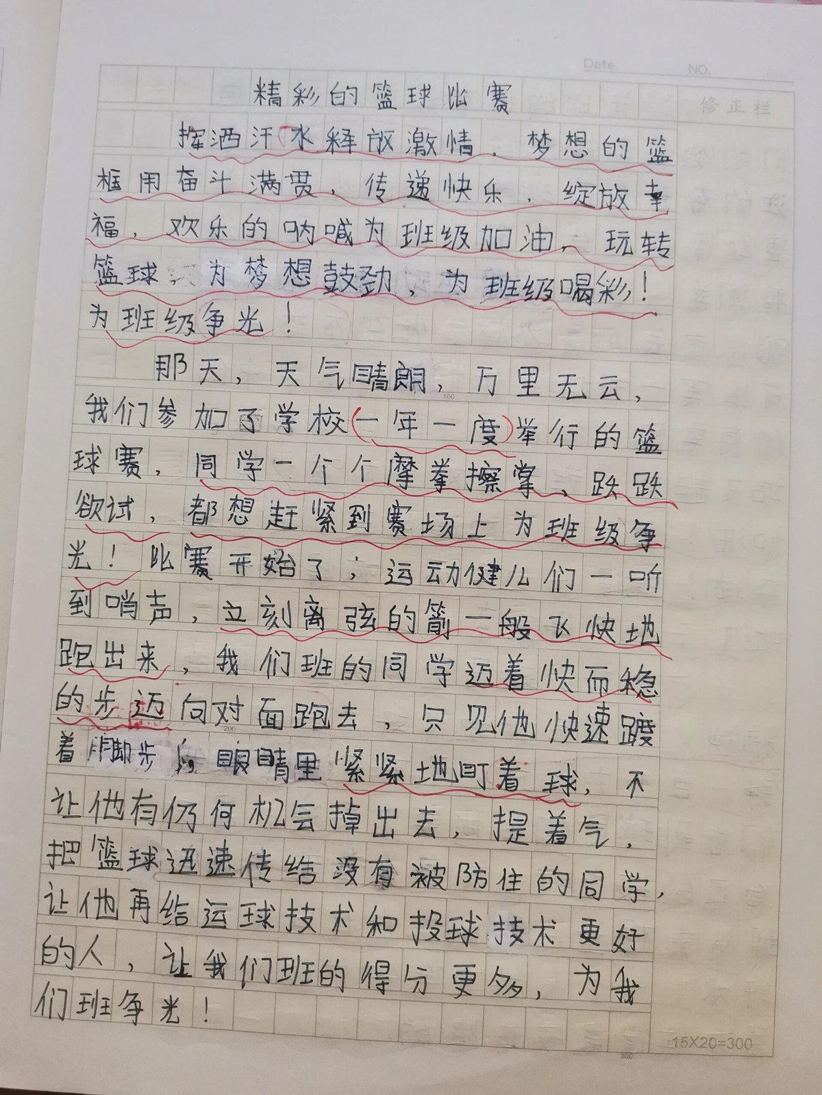 篮球训练感想和收获简短怎么写三年级